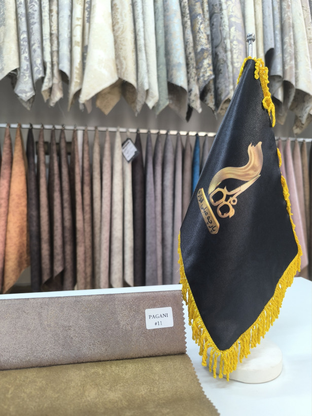 پاگانی کد 11