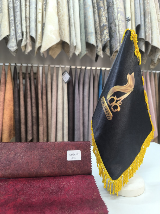 پاگانی کد 53