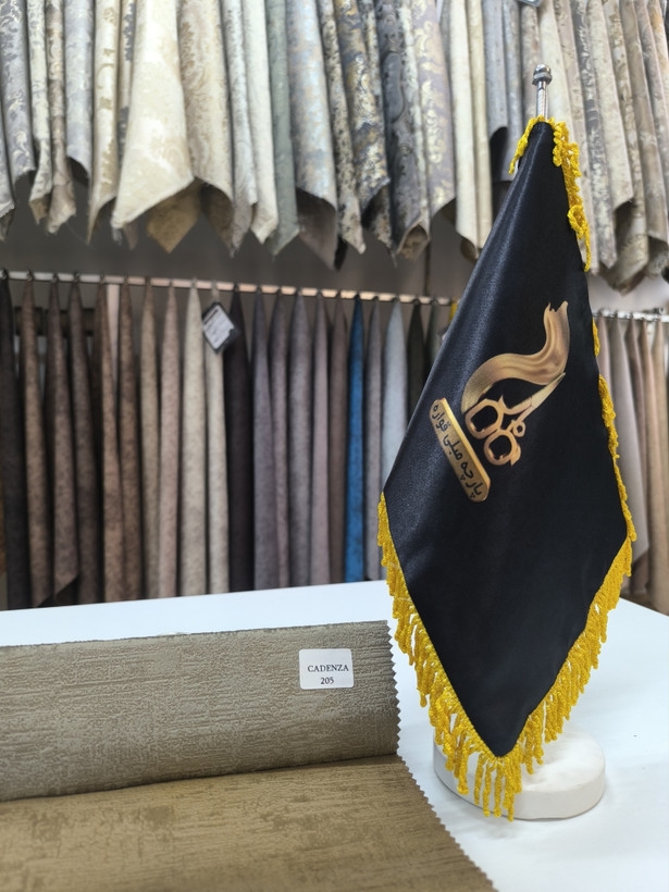 کادنزا کد 205