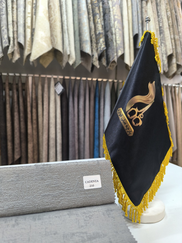 کادنزا کد 210