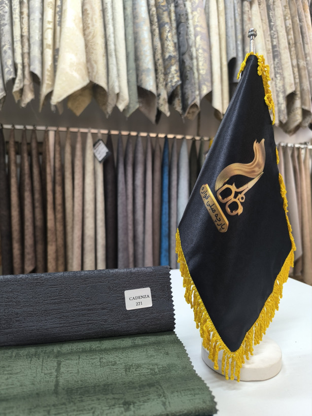 کادنزا کد 221