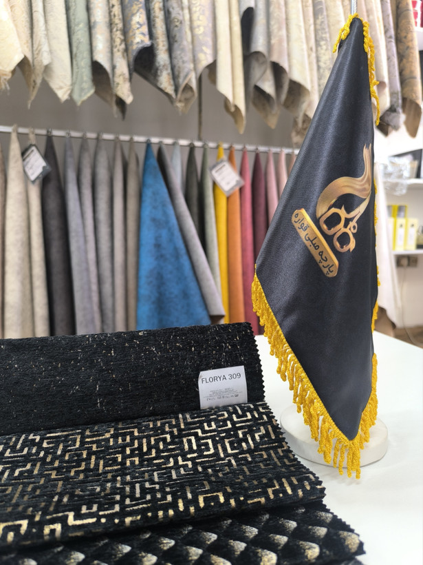 فلوریا کد 309